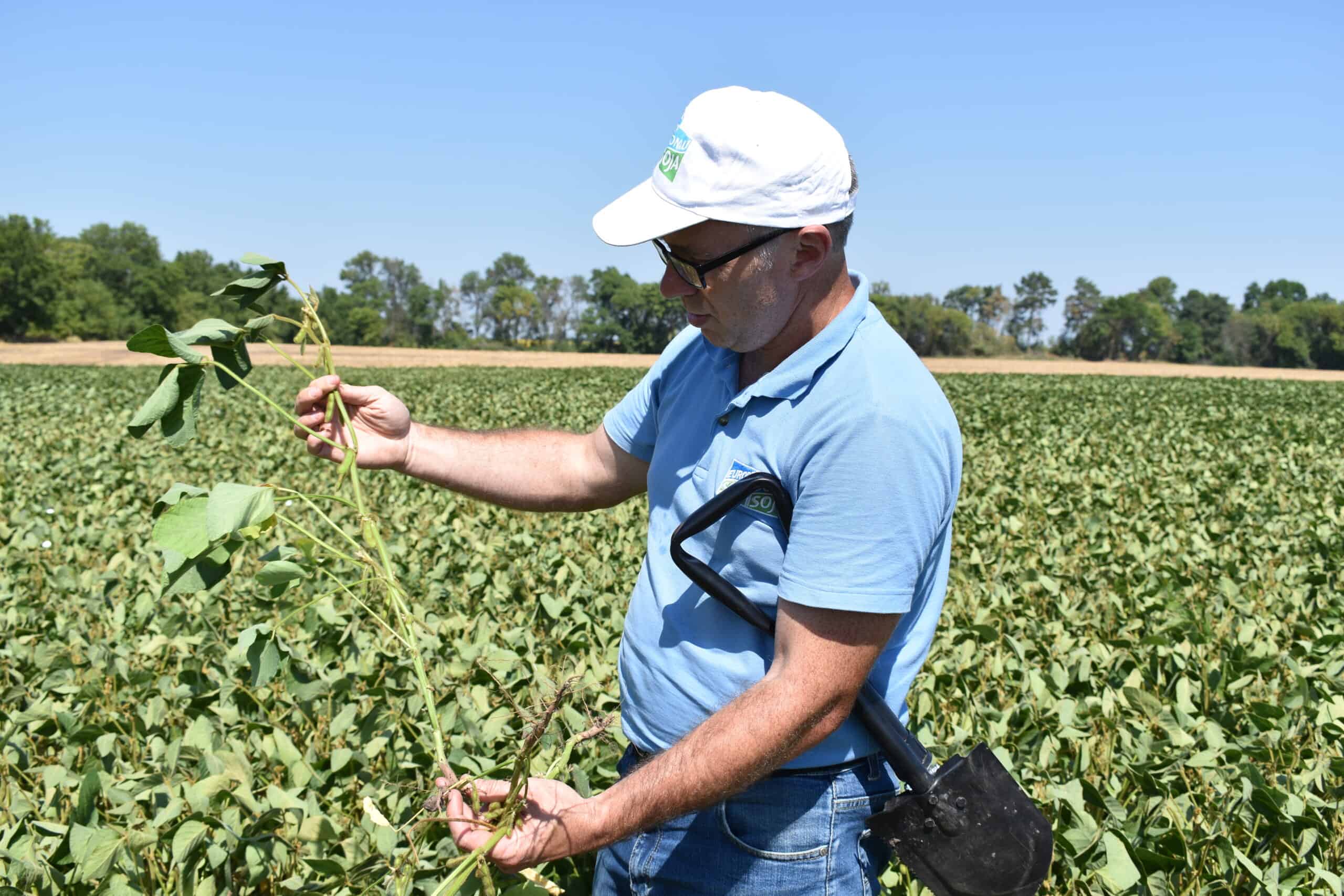 Small soya farmers Ukraine