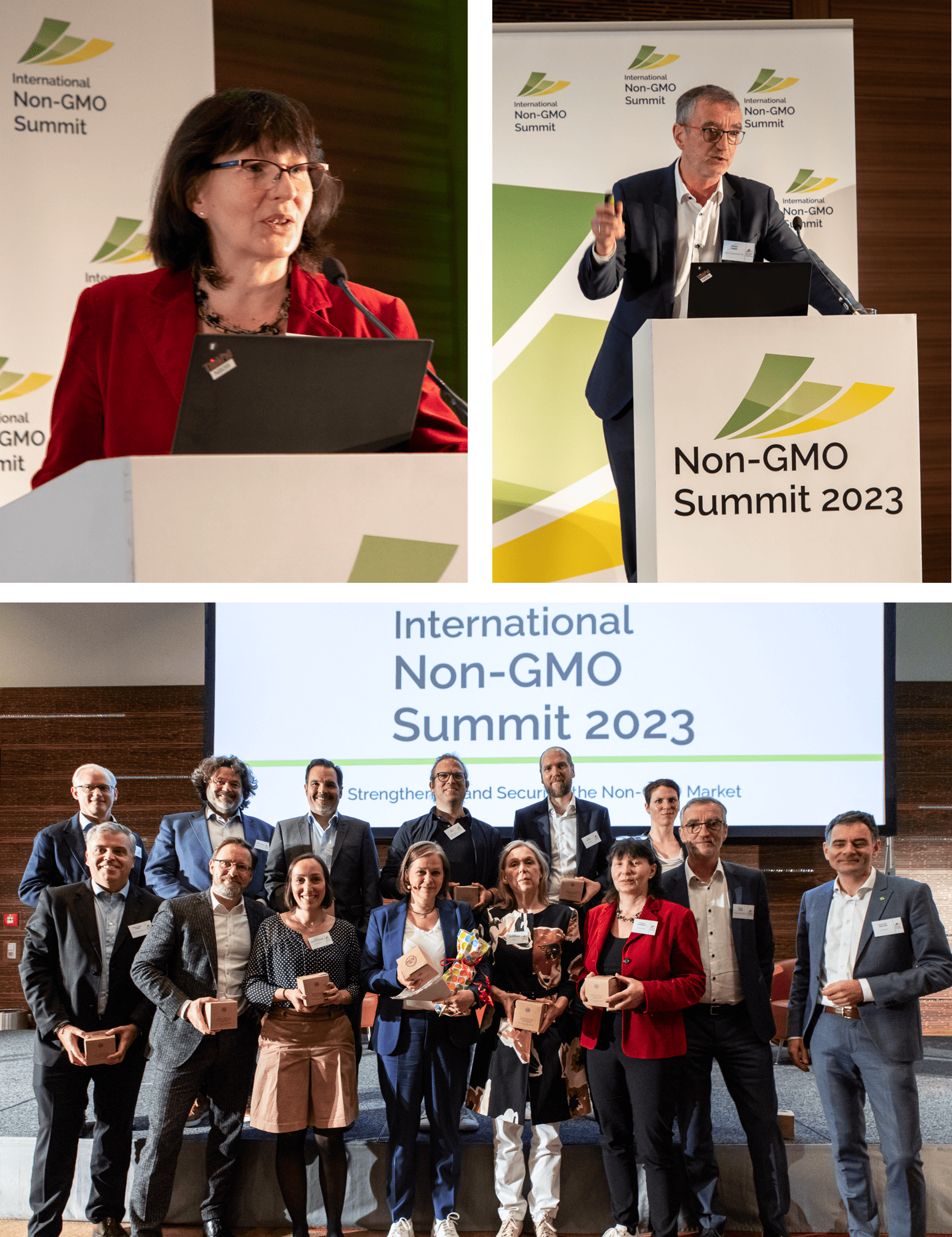 Newsletter Summit