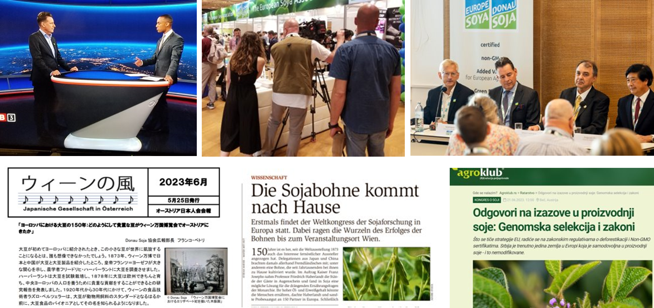 Bild8