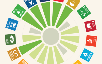 Donau Soja contributes significantly to the UN SDGs