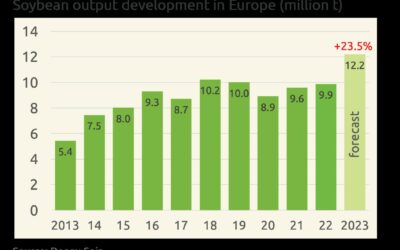 Rekordernte von Soja in Europa 2023. Ein Drittel mehr Soja bei gleichbleibender Anbaufläche in der EU