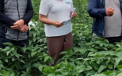 Donau Soja: Republic of Moldova increases soya harvest in 2023 and boosts market opportunities in the EU