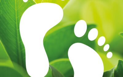 New version of Donau Soja LCA datasets compliant with SBTi FLAG Guidelines