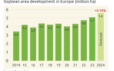 Donau Soja: Cele mai bune condiții pentru cultivarea soiei în Europa în 2024