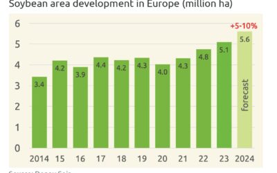 Donau Soja: Beste Bedingungen für Sojaanbau in Europa im Jahr 2024