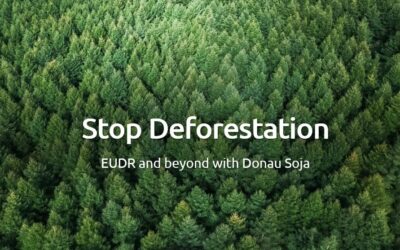 EU Deforestation Regulation: A step forward but with deficits