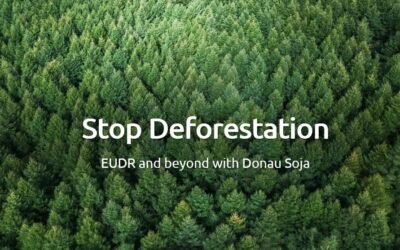 EU Deforestation Regulation: A step forward but with deficits