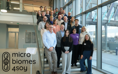 Microbiomes4Soy: Healthier diets and sustainable food and feed systems through microbiomes