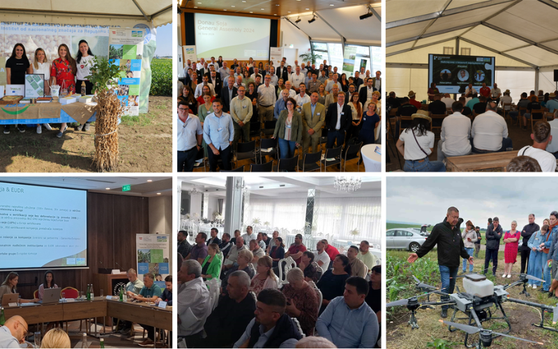 Collage of events from the first year of the Donau Soja–ADA Strategic Partnership in South-Eastern and Eastern Europe