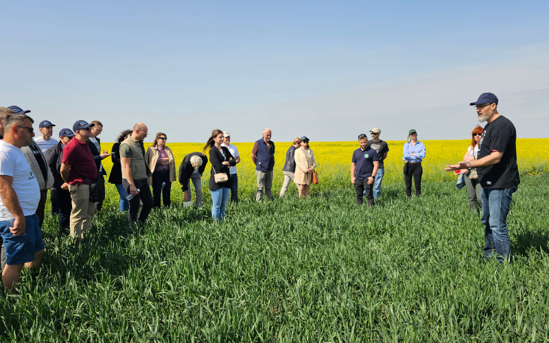 Group of farmers in a green field in Croatia learning about regenerative agriculture practices during a Donau Soja visit