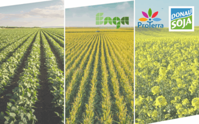 Non-GM Multicrop Report April: Promising yields amid market volatility
