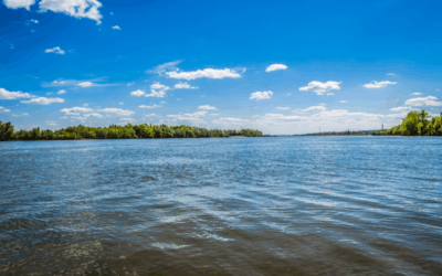 Danube Day 2025: The river that gives us our name – and our responsibility