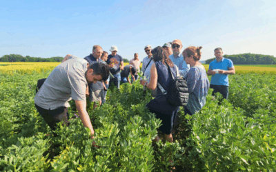 Regenerative Agriculture in Croatia 