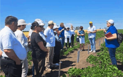 Moldova Field Day  