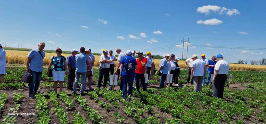 Farmers and experts discuss legume varieties in the field during Moldova’s 2025 field day hosted by Donau Soja and partners.