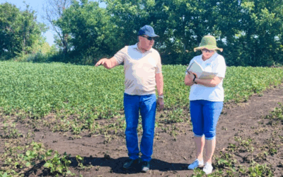 Irrigating soya in Moldova: A closer look at sustainable water use 