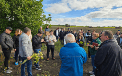 Utilising the bioeconomic potential of soybeans in the context of climate change 