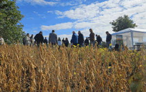 Practical demonstration on soybean cultivation and climate adaptation at Donau Soja Moldova seminar.
