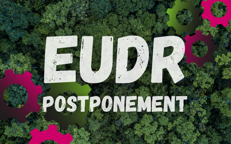 EUDR postponement approved by the European Parliament with forest background symbolising deforestation-free supply chains