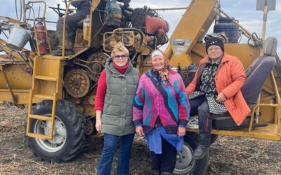Donau Soja platform harvest at National Centre of Seed Research and Production 