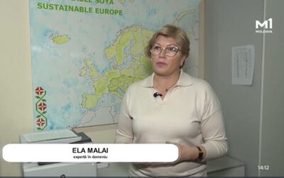 Interview on soya sector in the Republic of Moldova