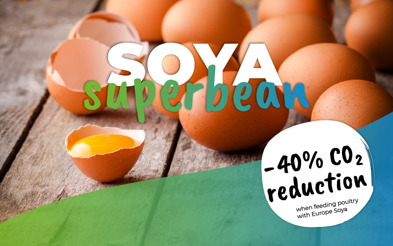 Homepage_Images_Soyasuperbean_eggs-28 EUDR 2026+ regulatory update visual showing agricultural fields and new EU deforestation regulation timeline