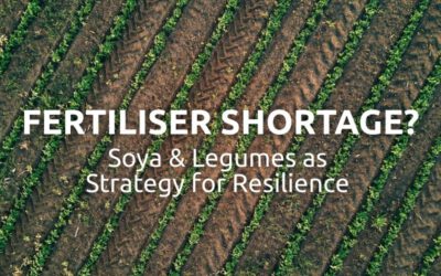 Farmers can actively counter the current nitrogen nertiliser shortage in the EU through soya cultivation