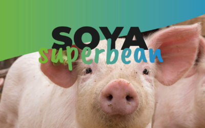 Soya Superbean: join our campaign!