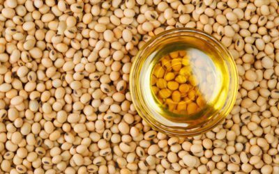 EU move to phase out soybean-based biofuels threatens Europe’s protein security