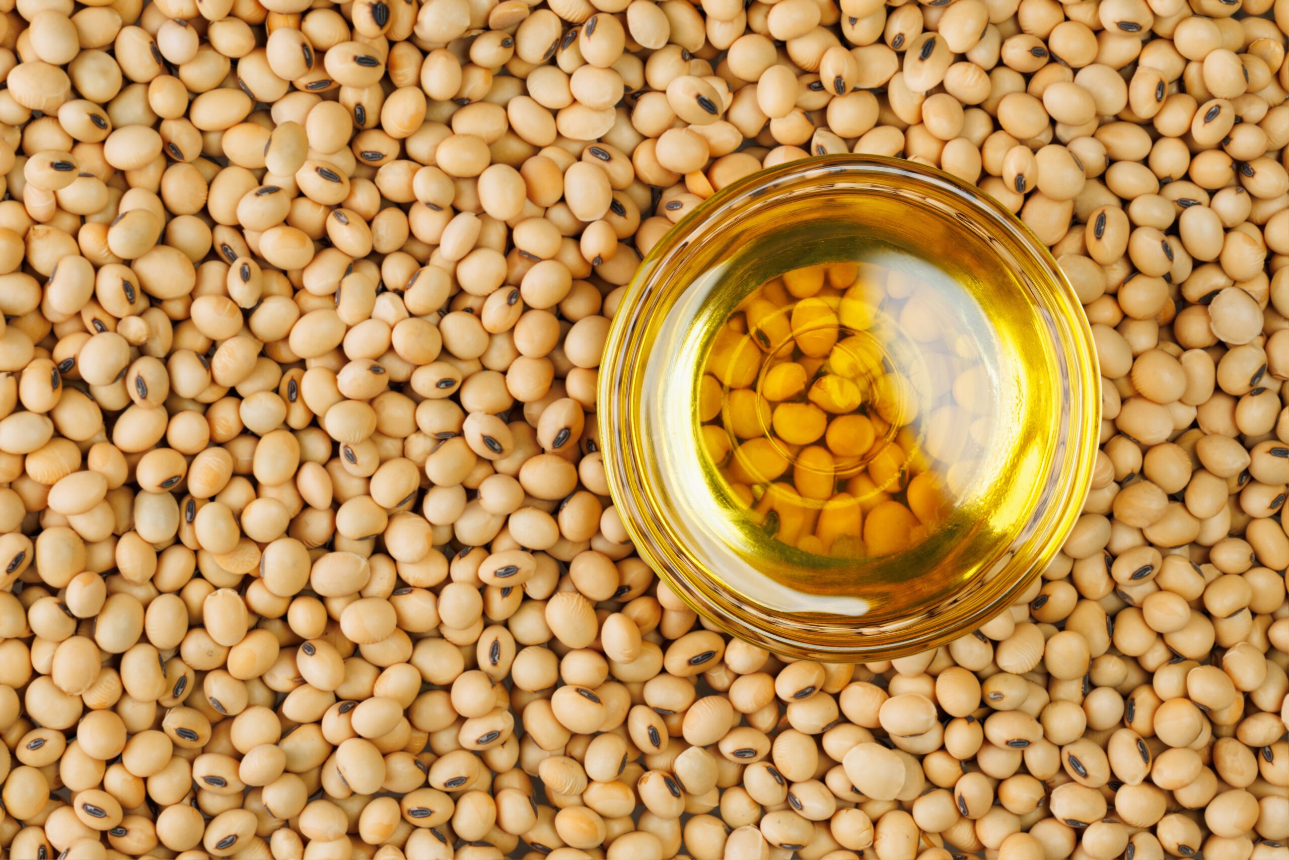 Oil,In,Small,Glass,Bowl,Stand,On,Dried,Soybeans.,Top Glass bowl filled with golden soybean oil surrounded by whole soybeans, viewed from above