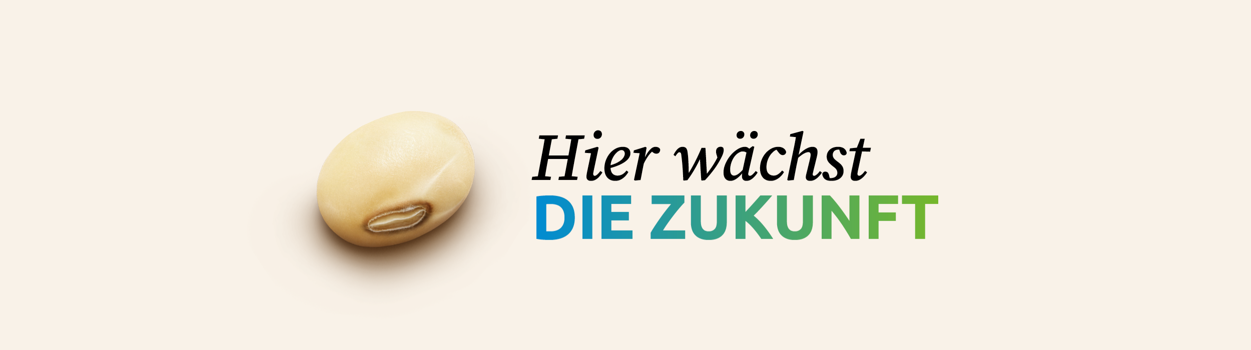 Europe Soya campaign banner in English with soybeans and the message “The future grows here”