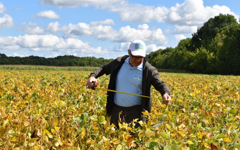 Agronomist measuring soybean plants during the Donau Soja Crop Tour Ukraine 2026