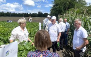 Participants examine soybean varieties at a Donau Soja demonstration platform in Moldova